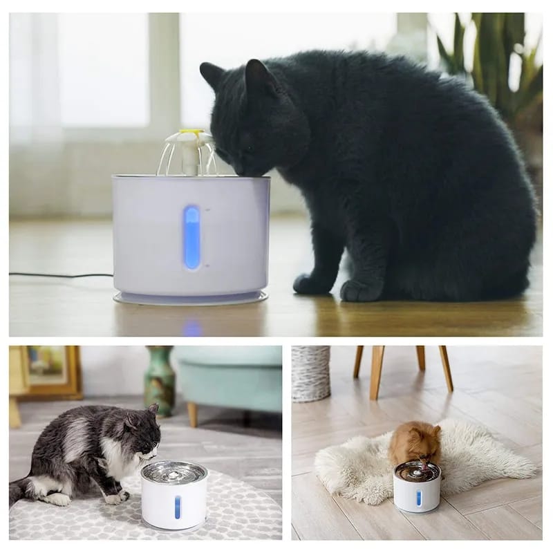 Fonte de Água Automática 2.4L Para Gatos ou Cães Com LED Daisy®️