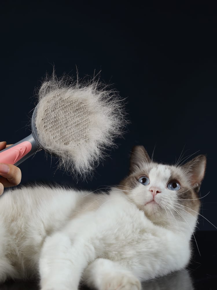 Escova Removedora de Pelos Para Cães E Gatos BrushPet®️