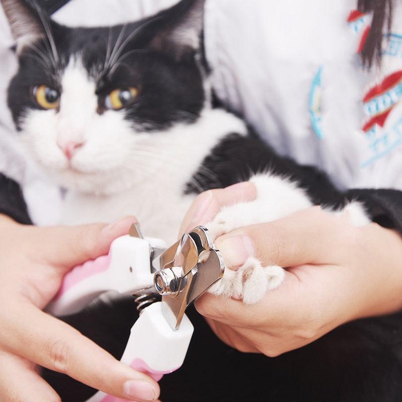 Cortador De Unhas Para Pets Profissional Seguro - Aço Inoxidável - Lojas Morangoni