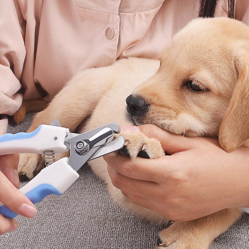 Cortador De Unhas Para Pets Profissional Seguro - Aço Inoxidável - Lojas Morangoni