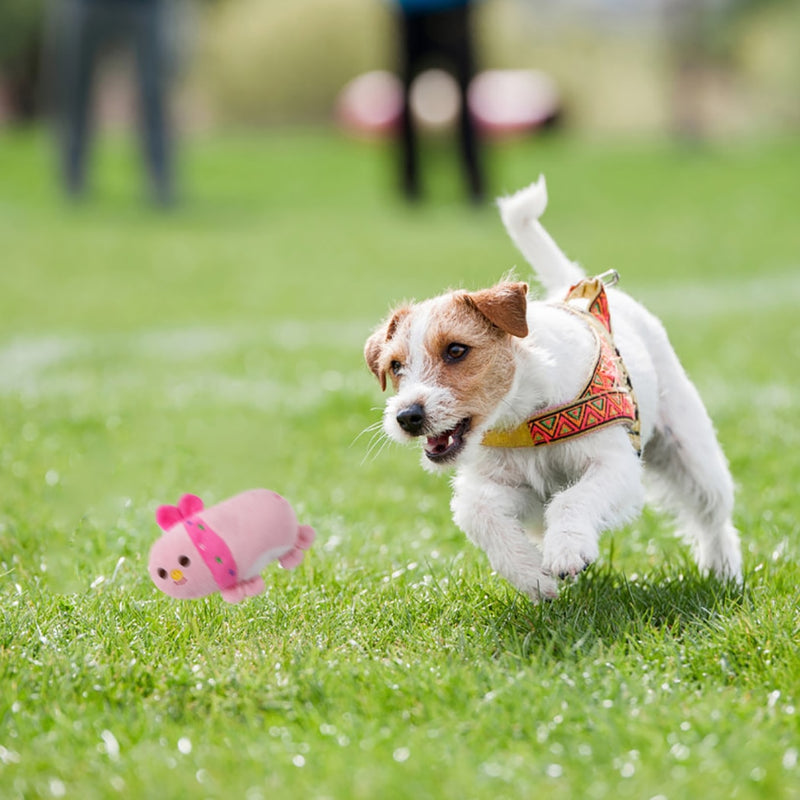 Brinquedo de Pelúcia para Cães Resistente a Mordidas - Super Macios